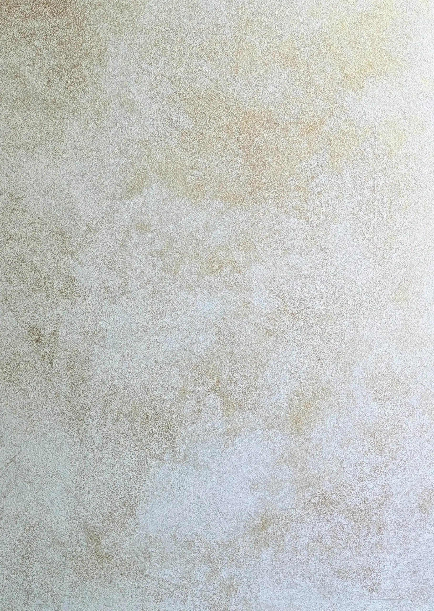 RemontPro - Goldshell Небиа светлое золото